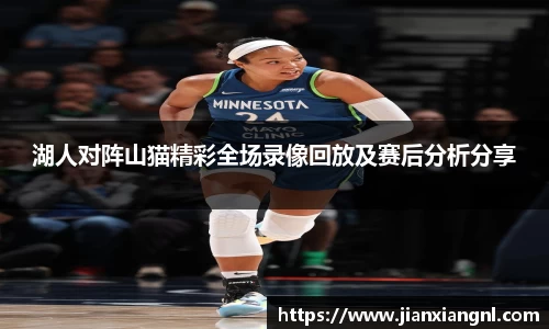 湖人对阵山猫精彩全场录像回放及赛后分析分享